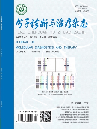 NG28-不凡成就非凡,相信品牌的力量