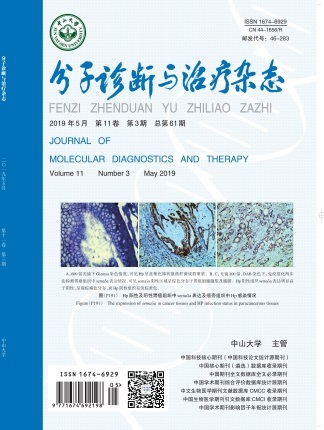 NG28-不凡成就非凡,相信品牌的力量