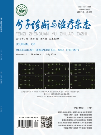 NG28-不凡成就非凡,相信品牌的力量