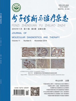 NG28-不凡成就非凡,相信品牌的力量