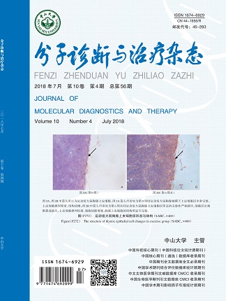NG28-不凡成就非凡,相信品牌的力量