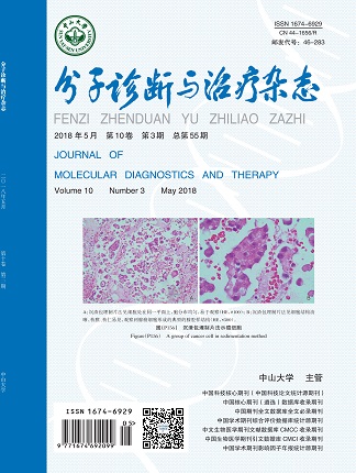 NG28-不凡成就非凡,相信品牌的力量