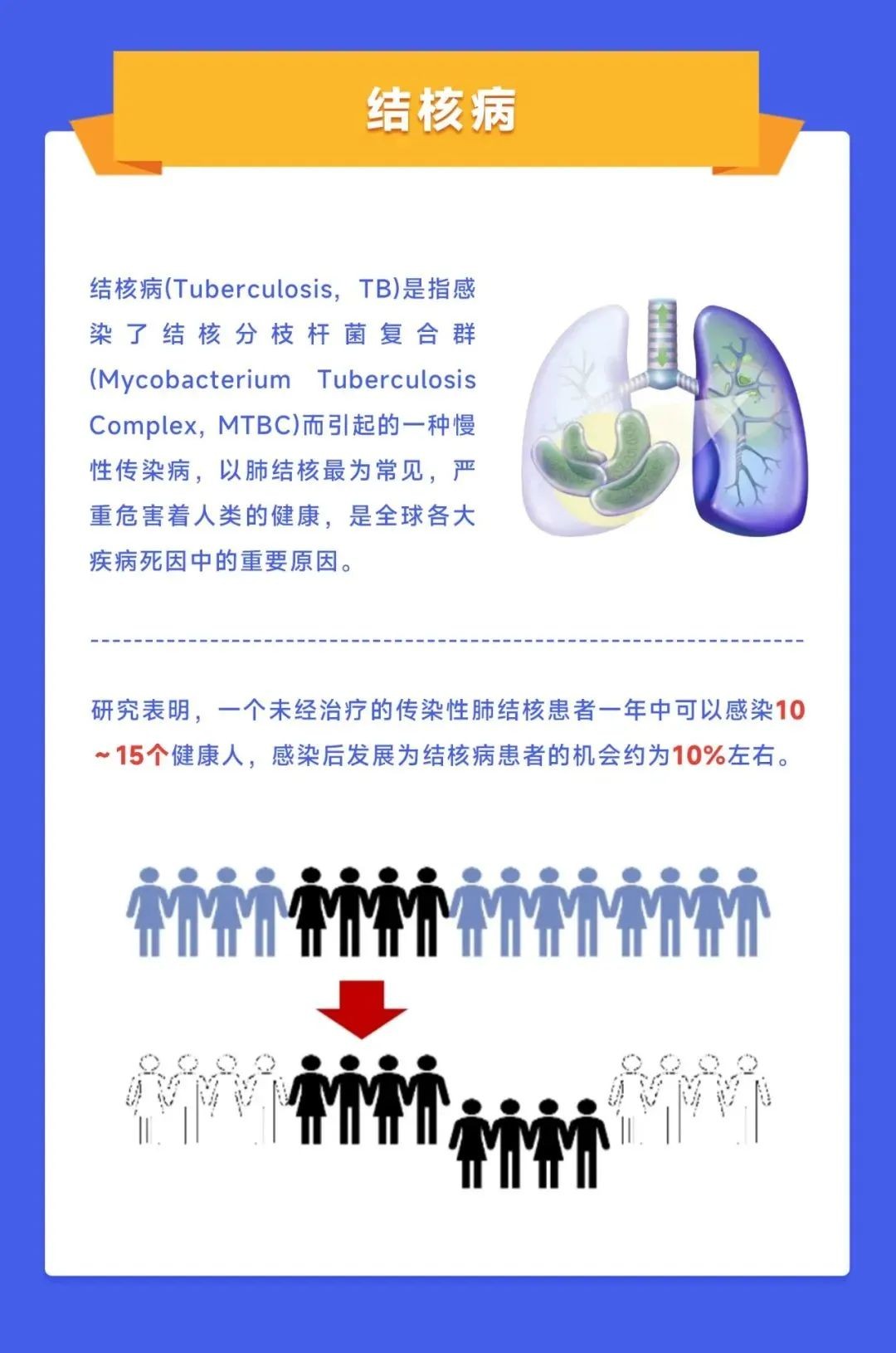 NG28-不凡成就非凡,相信品牌的力量
