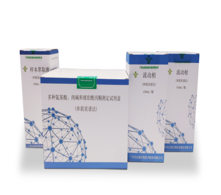 NG28-不凡成就非凡,相信品牌的力量