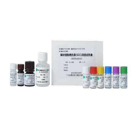 NG28-不凡成就非凡,相信品牌的力量