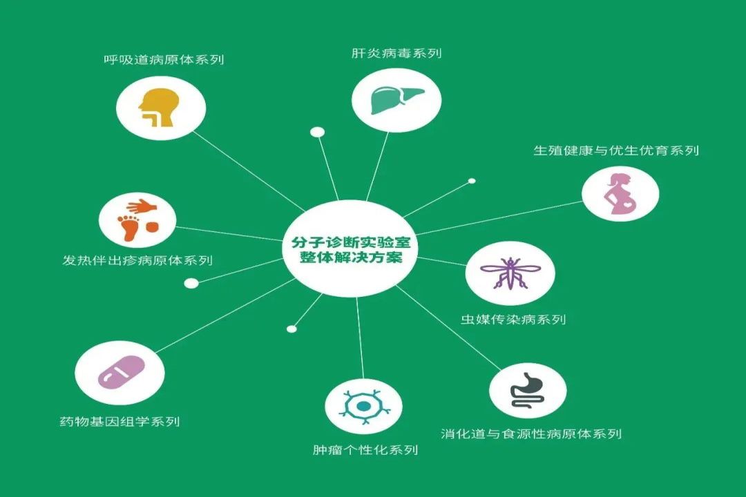 NG28-不凡成就非凡,相信品牌的力量