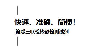 NG28-不凡成就非凡,相信品牌的力量