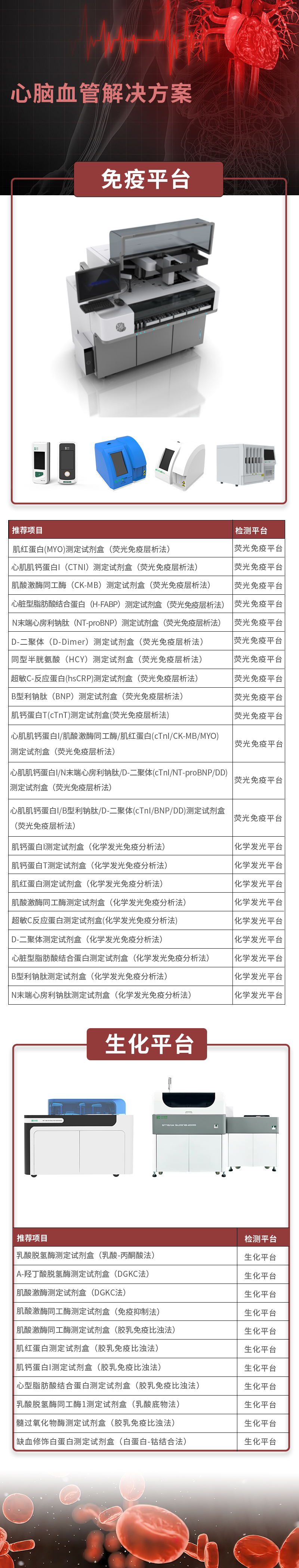 NG28-不凡成就非凡,相信品牌的力量