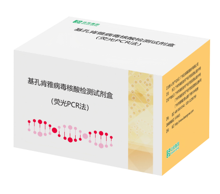NG28-不凡成就非凡,相信品牌的力量
