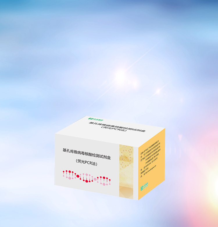 NG28-不凡成就非凡,相信品牌的力量